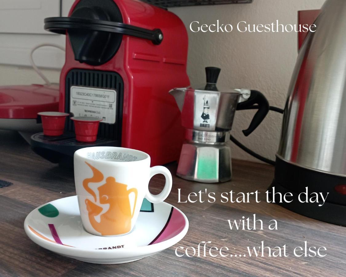 Agios Nikolaos  Gecko Guesthouse מראה חיצוני תמונה